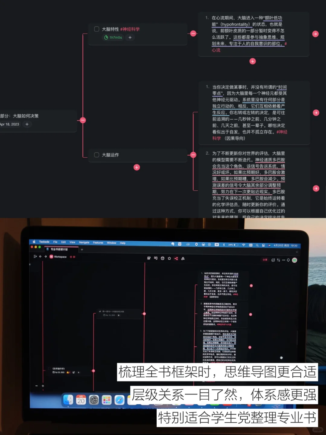 iPad笔记神器被我找到了🥹好适合阅读学习阿