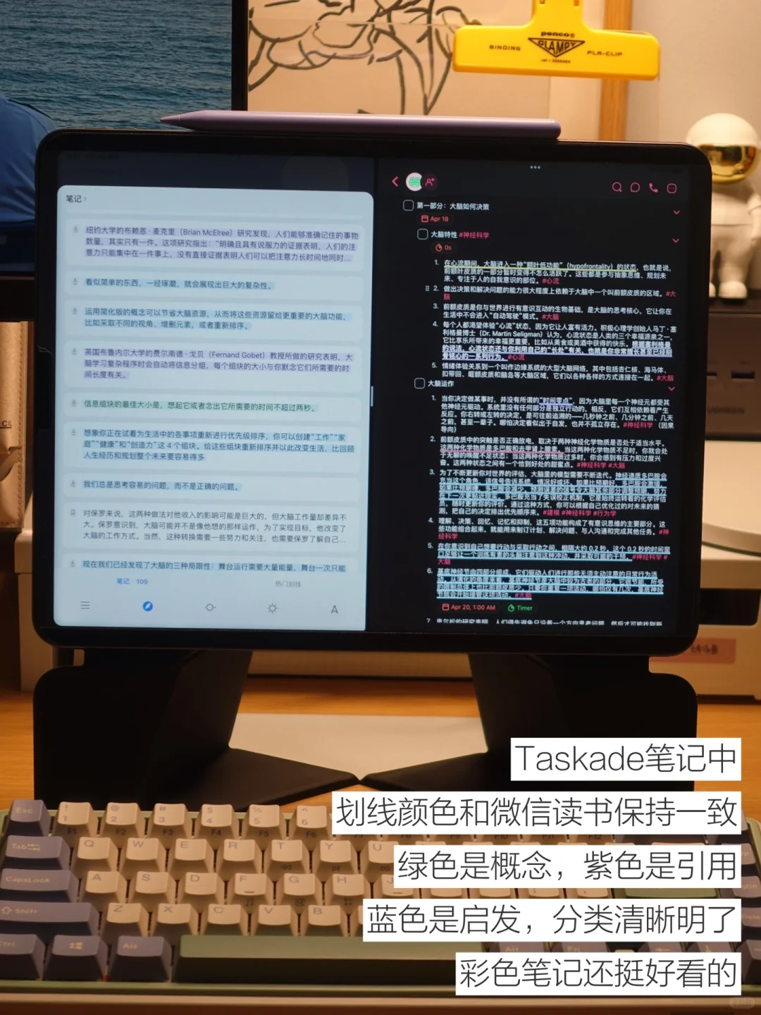 iPad笔记神器被我找到了🥹好适合阅读学习阿
