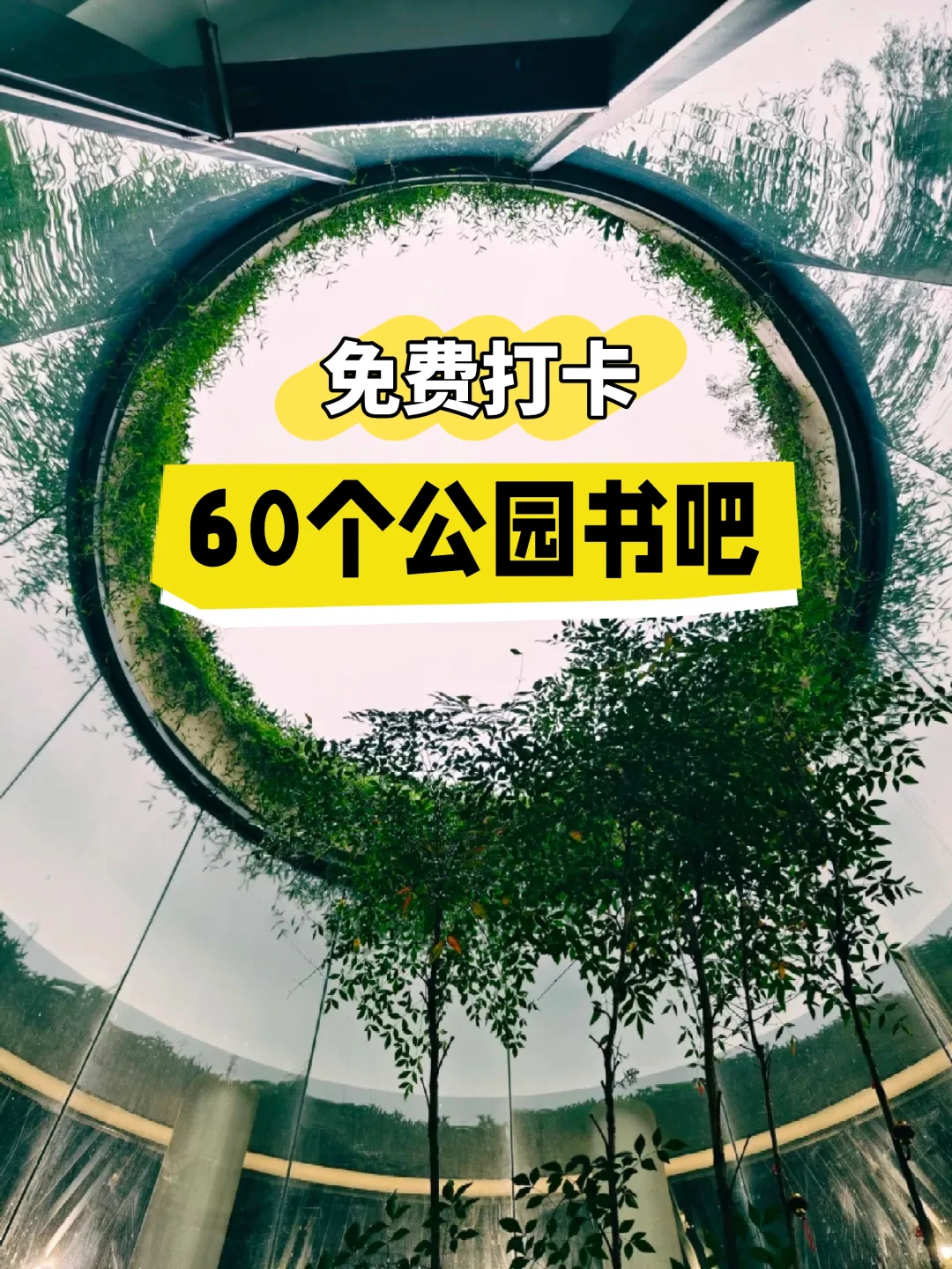 深圳60个公园书吧！户外+阅读，遛娃乐趣多