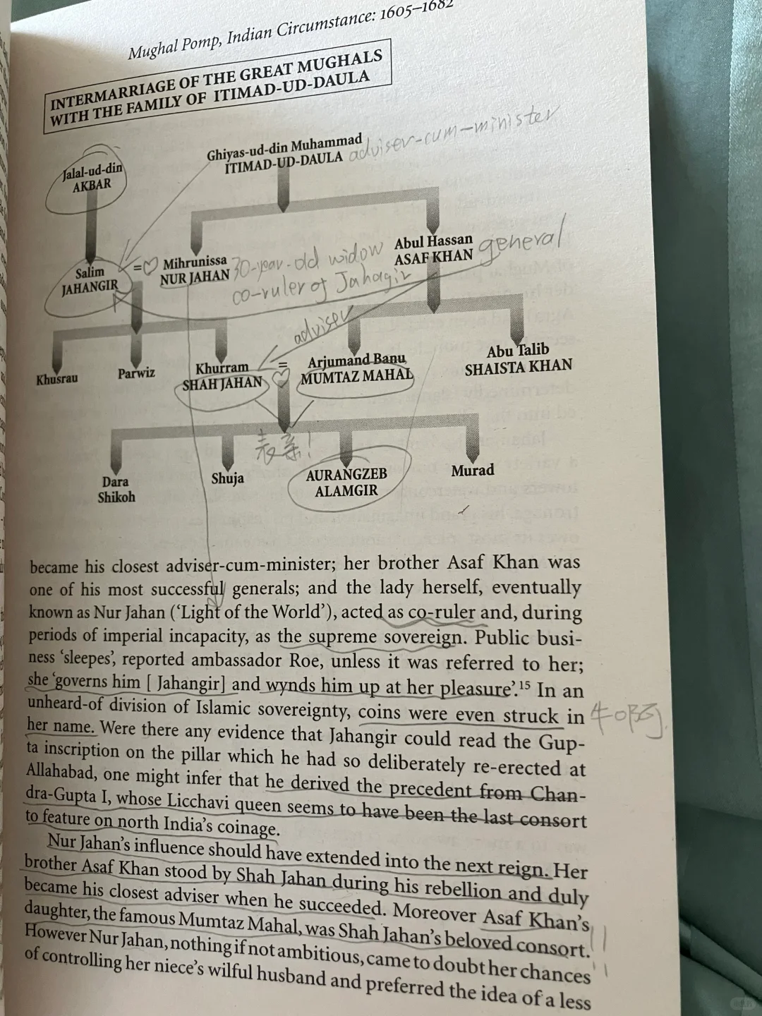 一部兼具学术深度与阅读乐趣的印度史诗