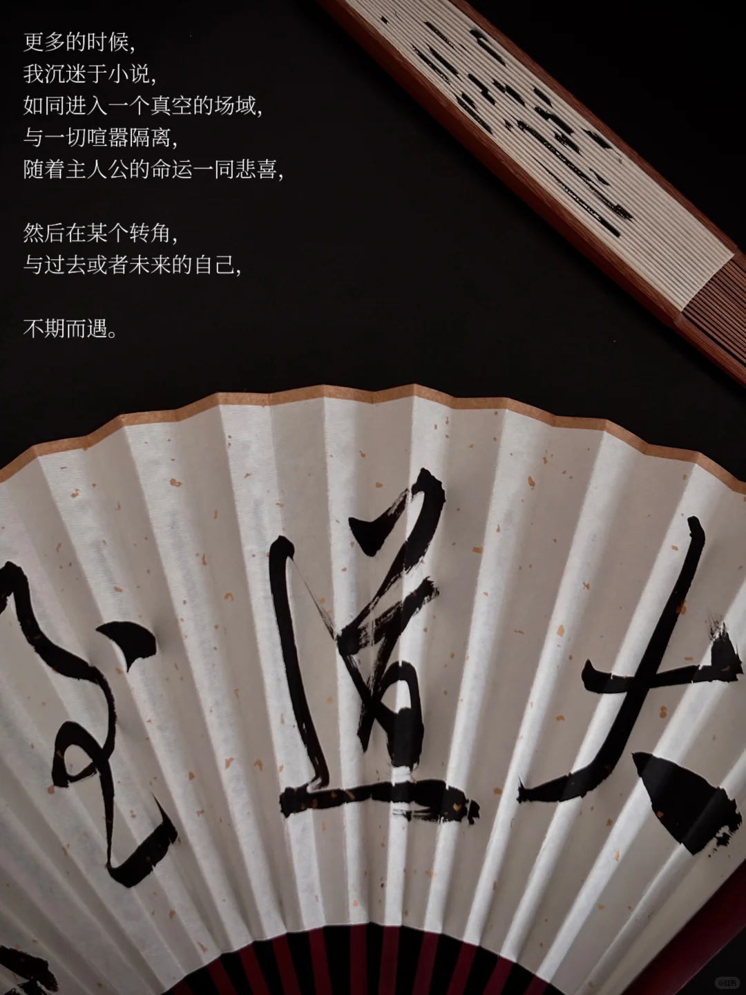 我向来坚决相信，喜欢阅读的人是快乐的，
