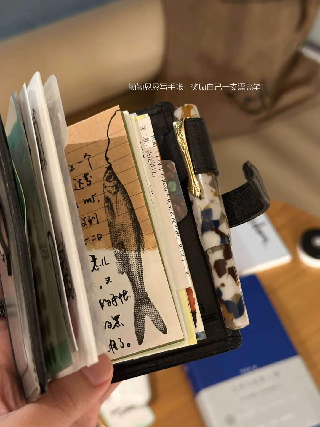 文学和电影是我感受自由的方式