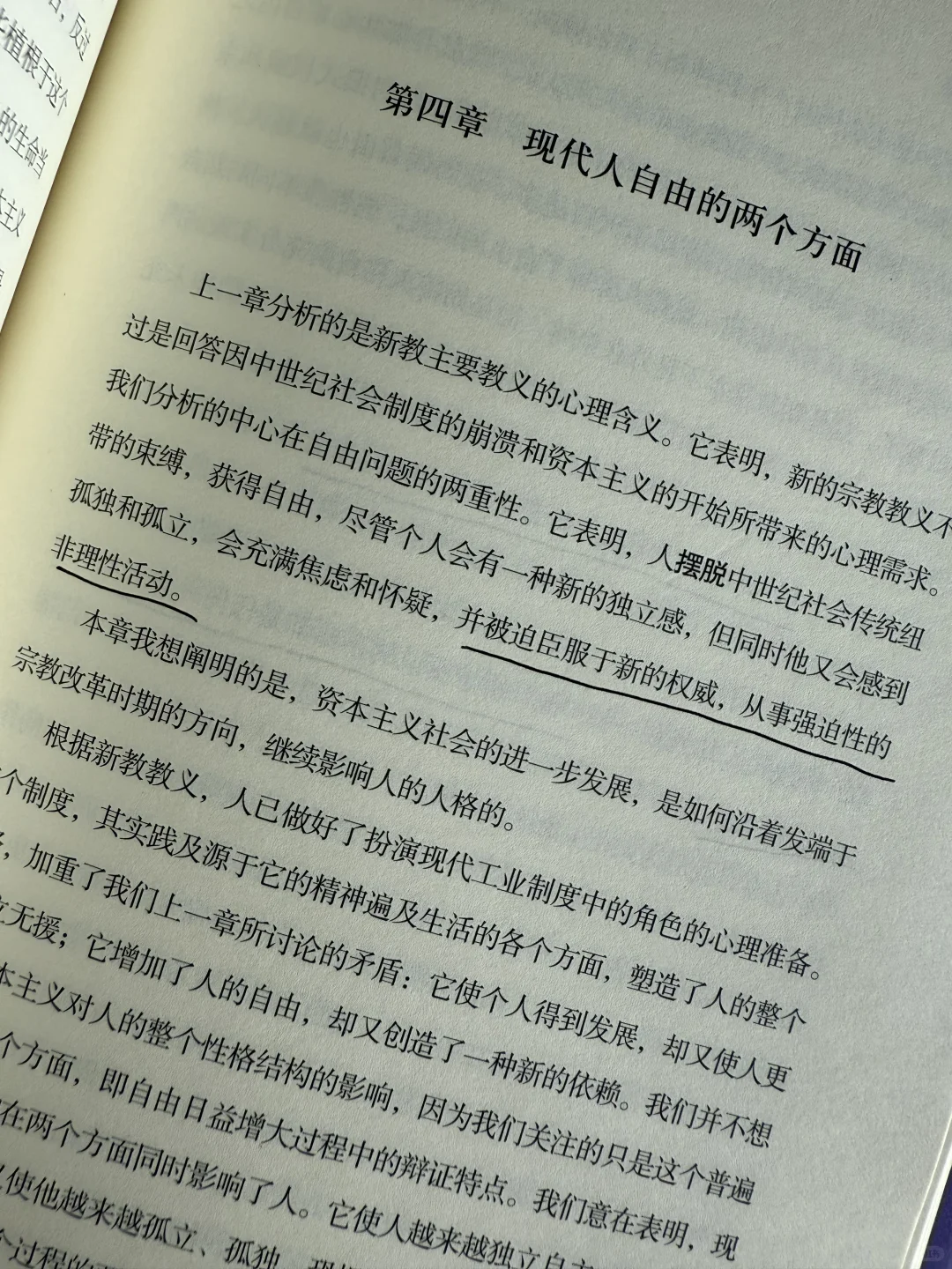 成年人最大的幻觉，是以为自由能救你