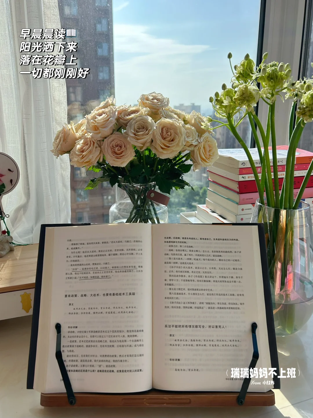 失业gap中，早起、喝茶、读书，允许生活慢下来