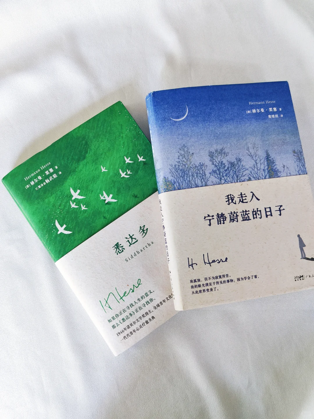 多一个年轻人读黑塞，就多一份自由🔵🟢