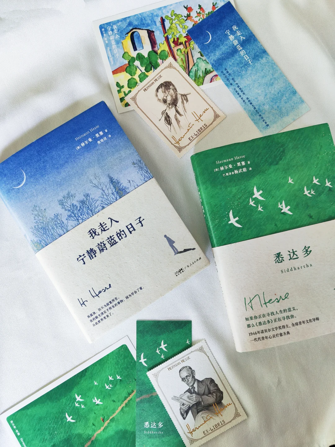 多一个年轻人读黑塞，就多一份自由🔵🟢