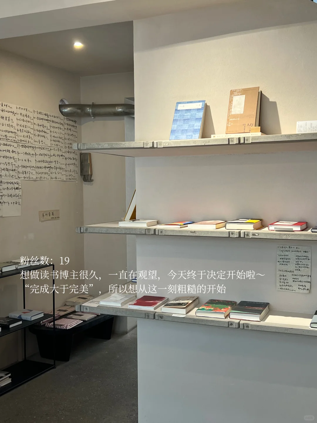 2025年决定做读书博主的第一天｜粉丝数：19