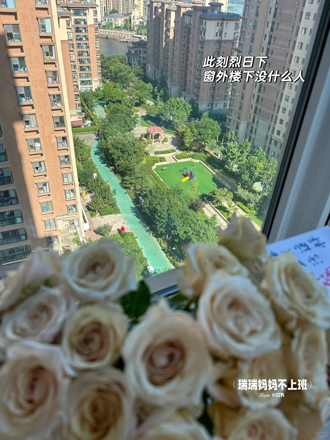 失业gap中，早起、喝茶、读书，允许生活慢下来