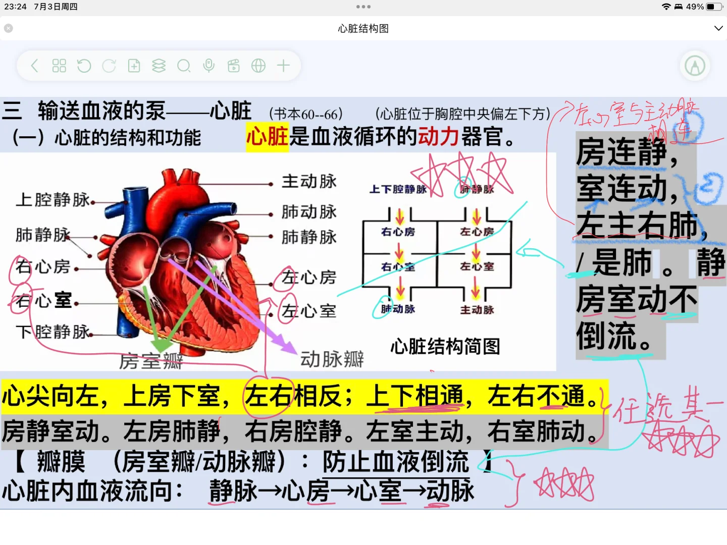 这个自由笔记太爽了吧！