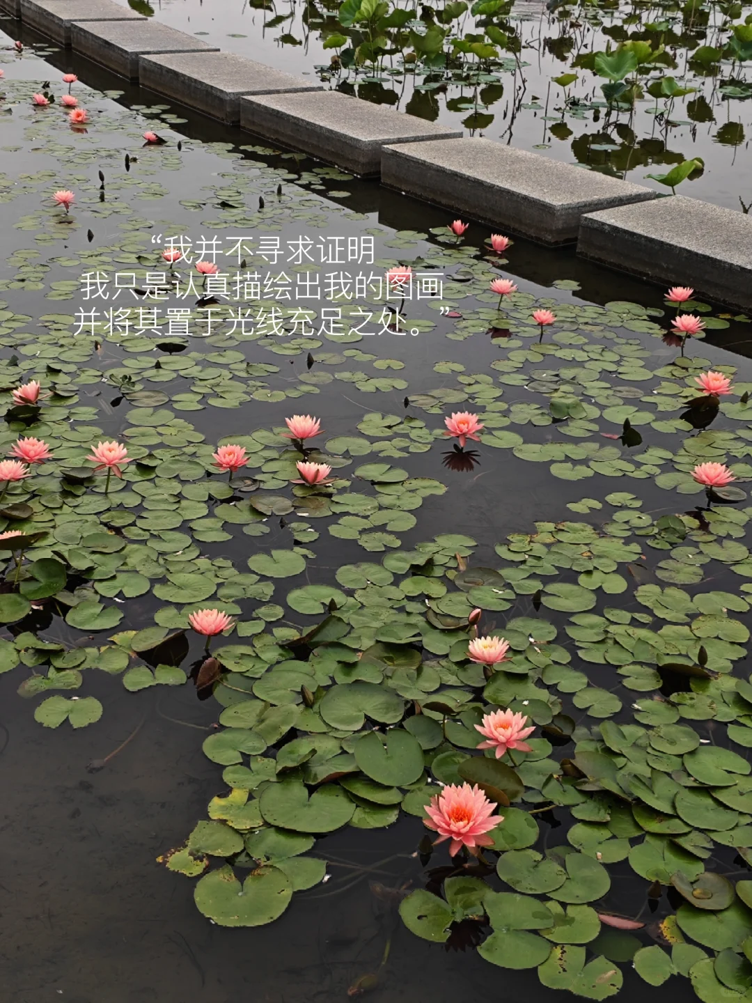 我发现长期看书的人都有一个共性：