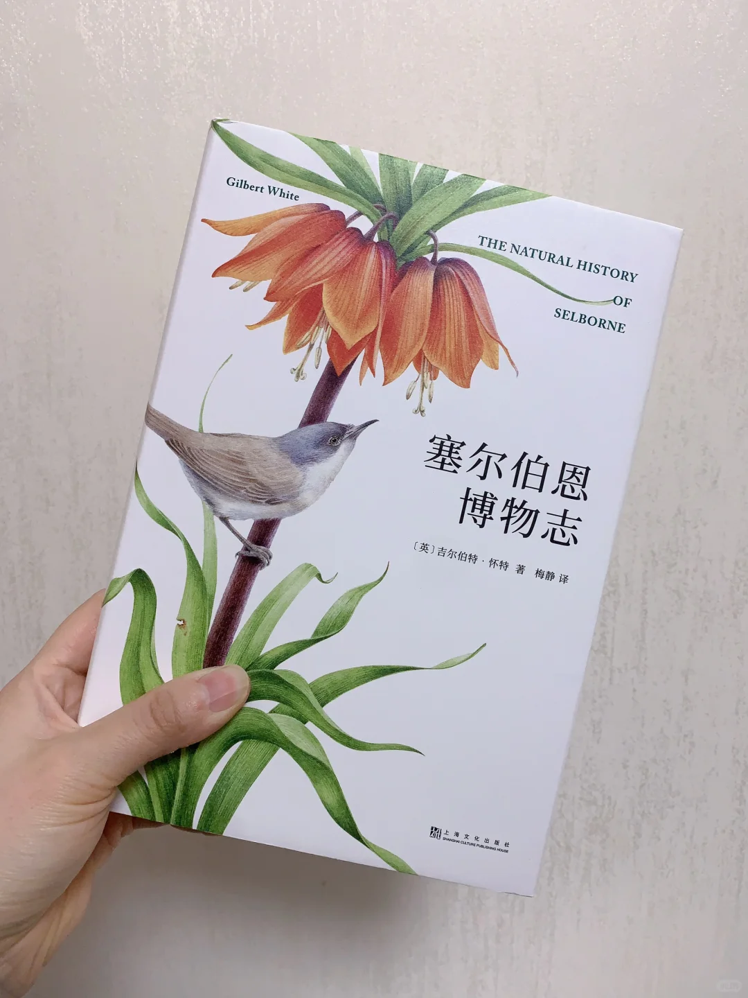 1%电量也要把这些好书分享出来……太好看了