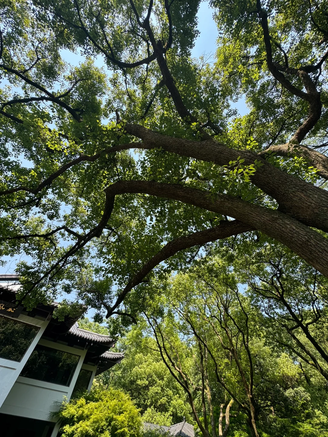 其实“平静”是最奢侈的东西