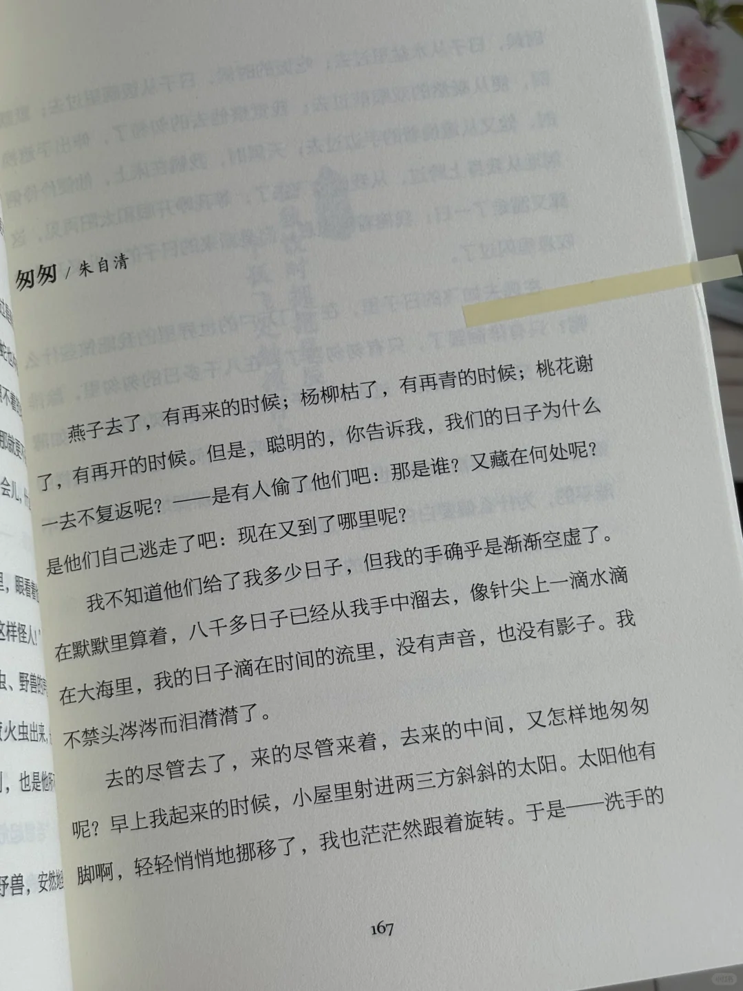 被喧嚣逼疯时，这书教我享受无人问津🌿