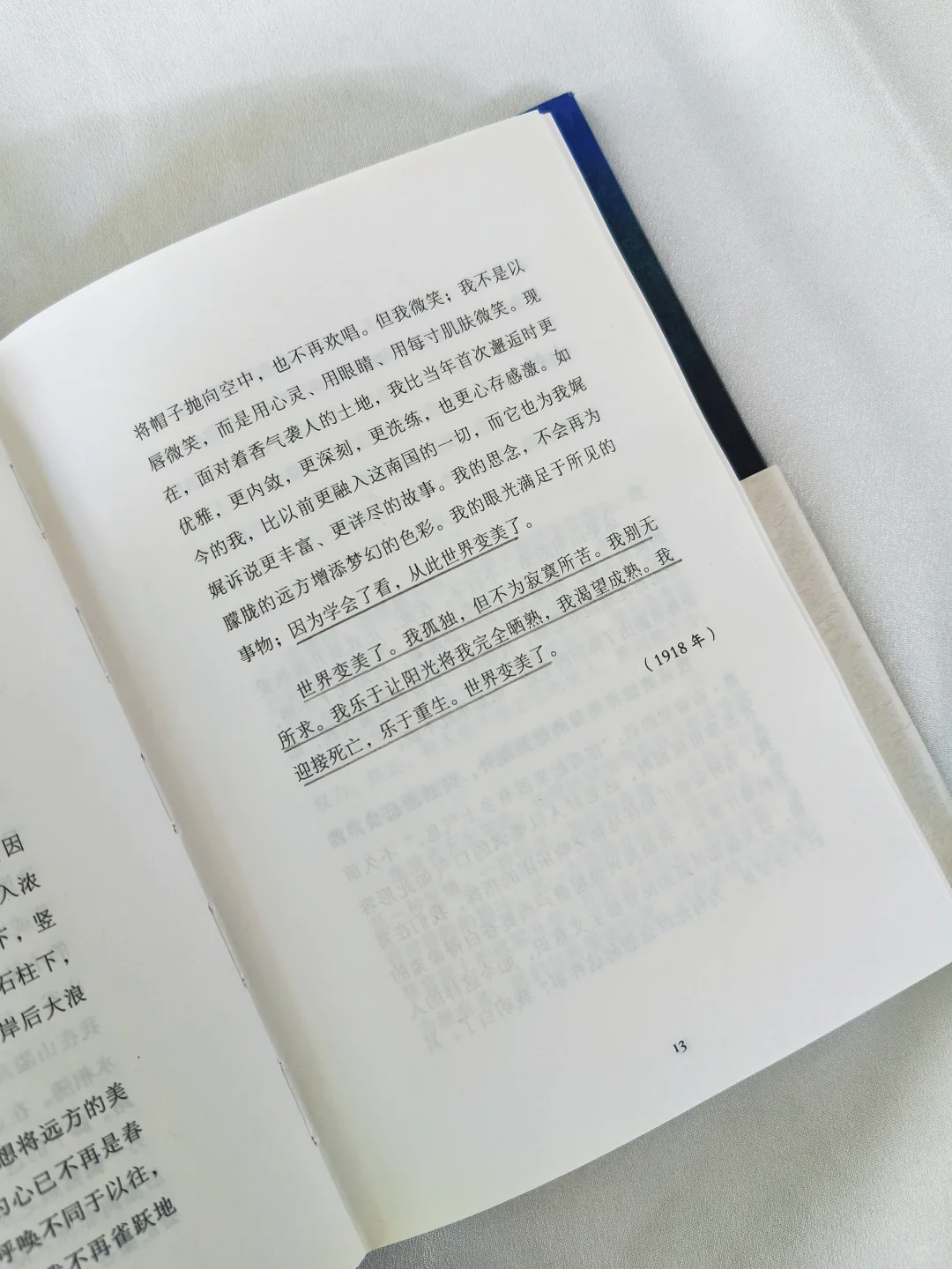 多一个年轻人读黑塞，就多一份自由🔵🟢