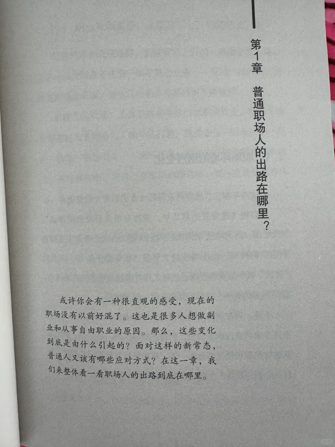 带你从副业到自由职业！