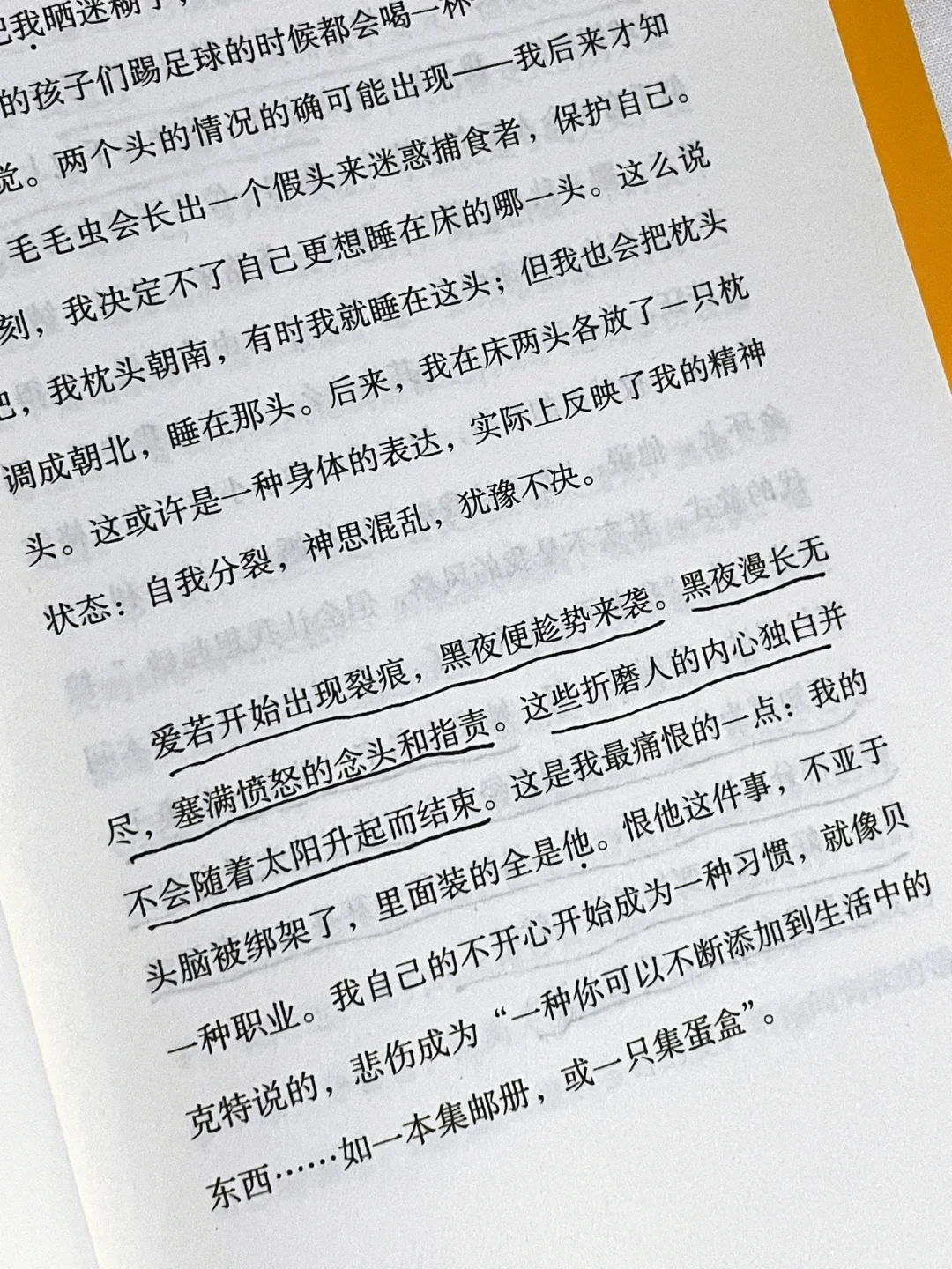 读到泪崩🥹，这本书是我低谷期的救赎！！