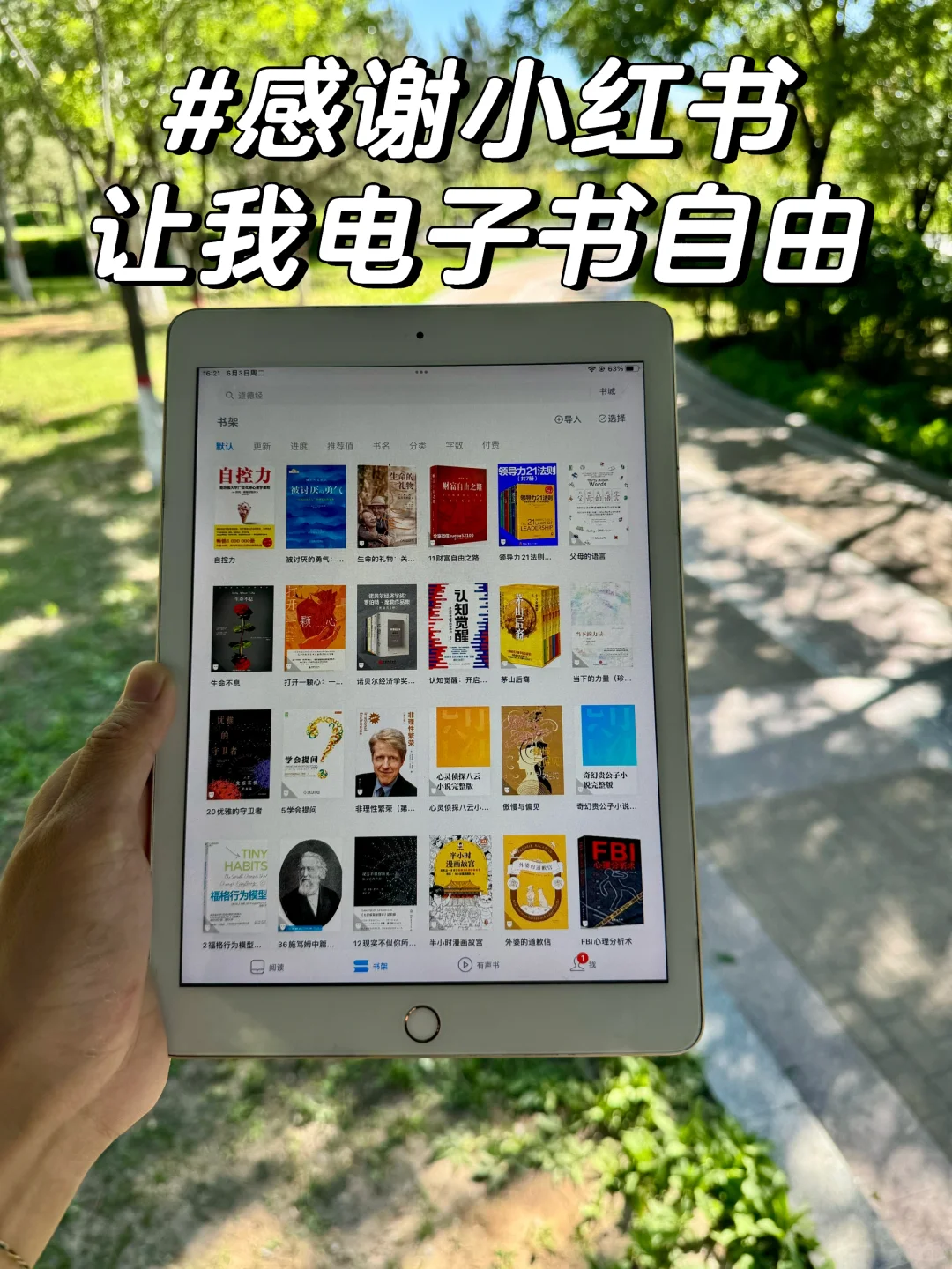 感谢小红书，让我实现电子书自由！🙏