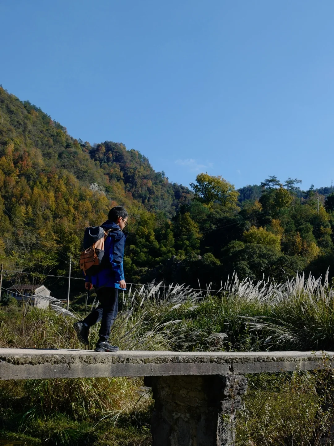 真正的鸡娃：早睡、阅读、户外、长期主义