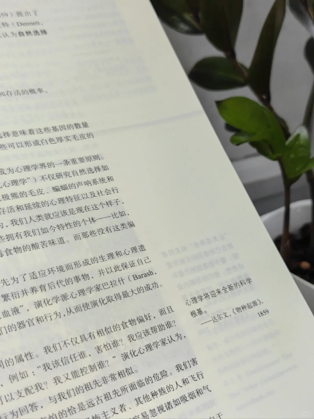 才发现，读书是普通人的救赎和自由