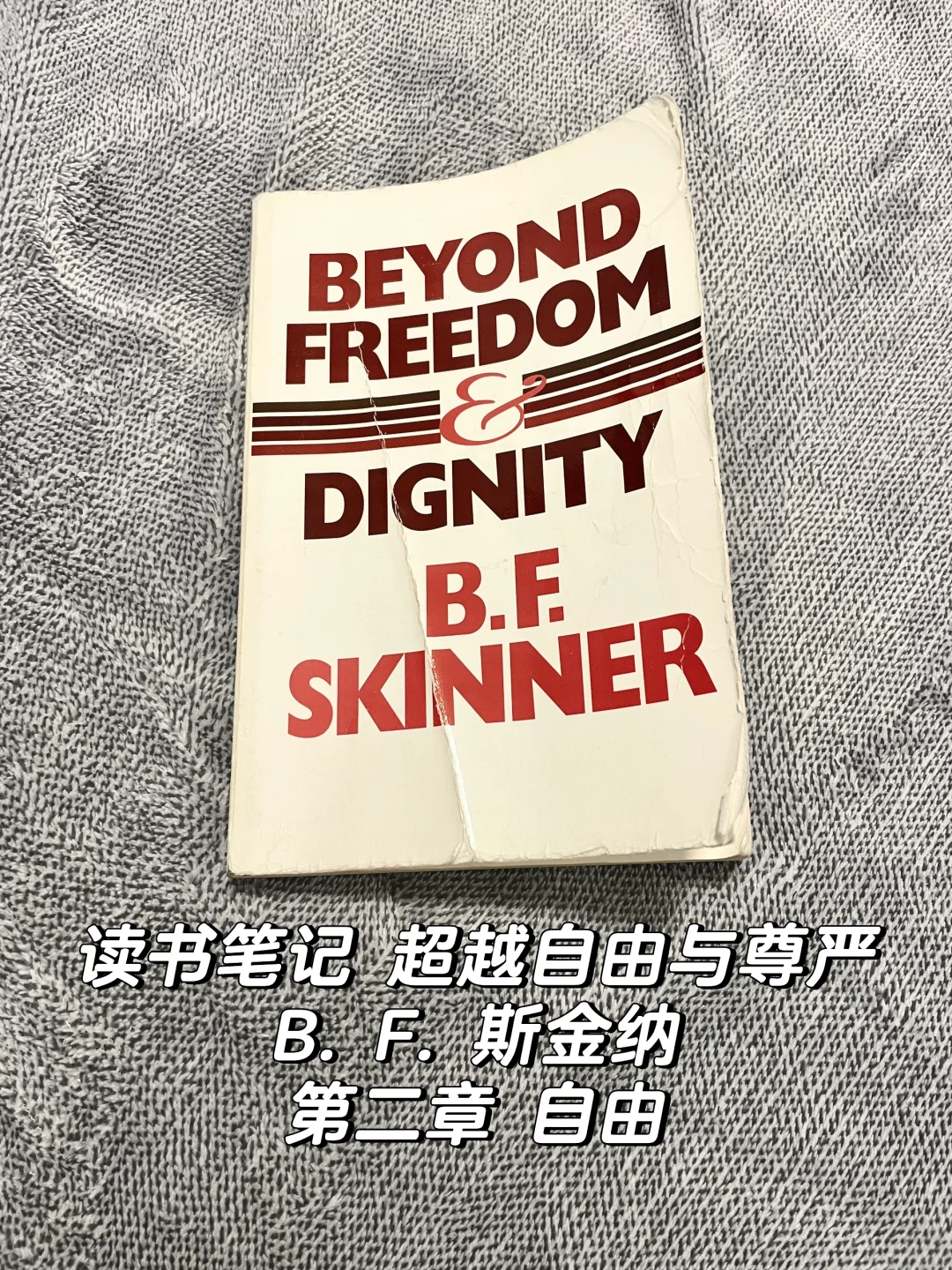读书笔记｜超越自由与尊严(2)