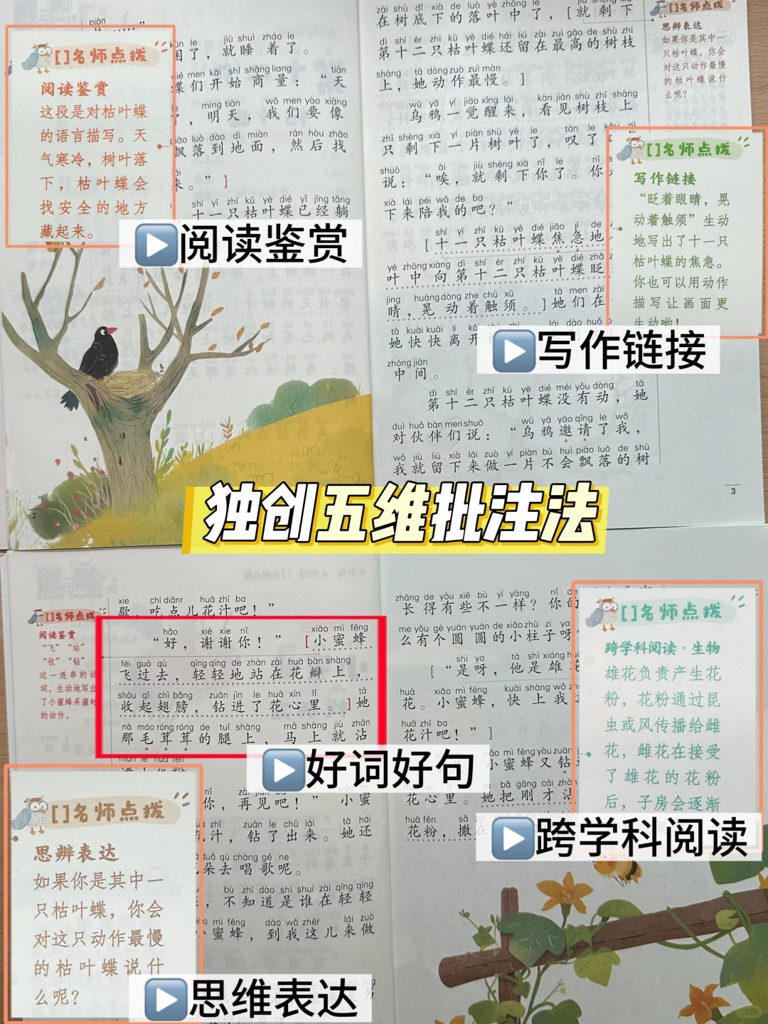 二年级|拿下语文阅读，从快乐读书吧开始👏