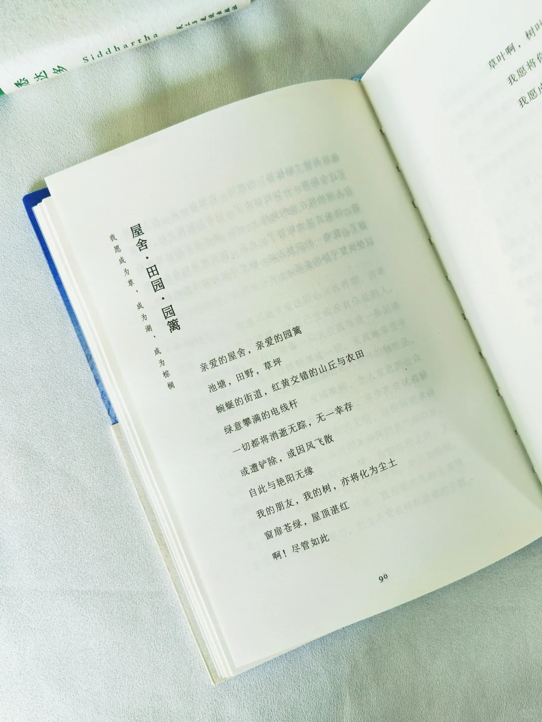 多一个年轻人读黑塞，就多一份自由🔵🟢
