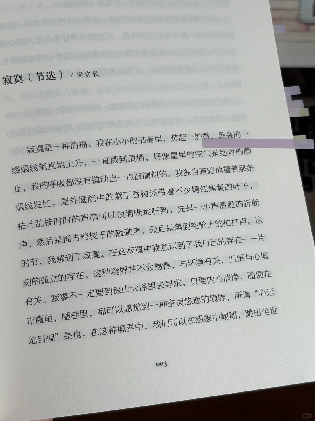被喧嚣逼疯时，这书教我享受无人问津🌿