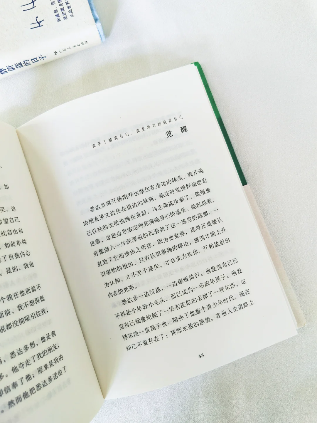 多一个年轻人读黑塞，就多一份自由🔵🟢