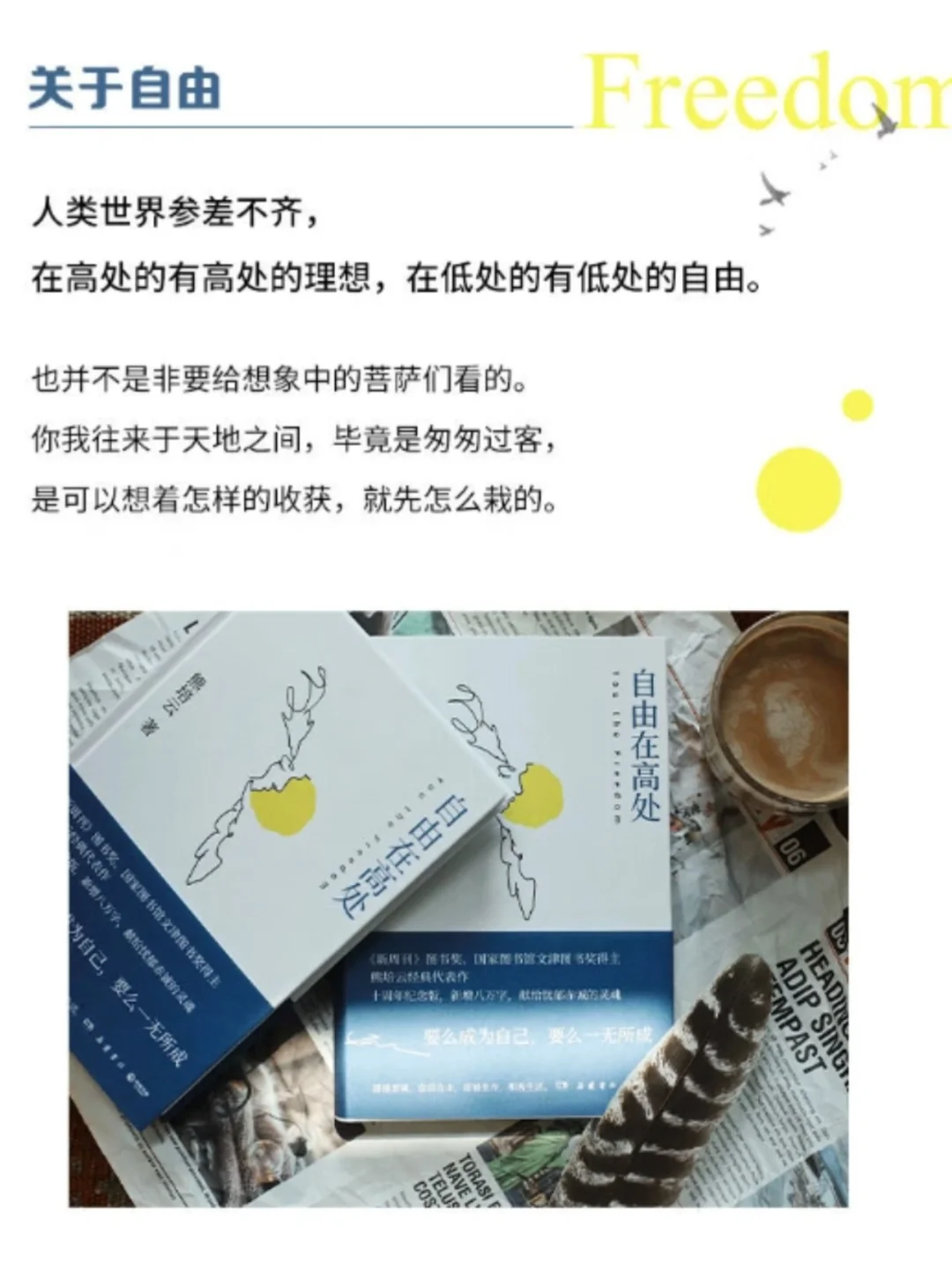 太震撼了！它把自由的真相写透了‼️