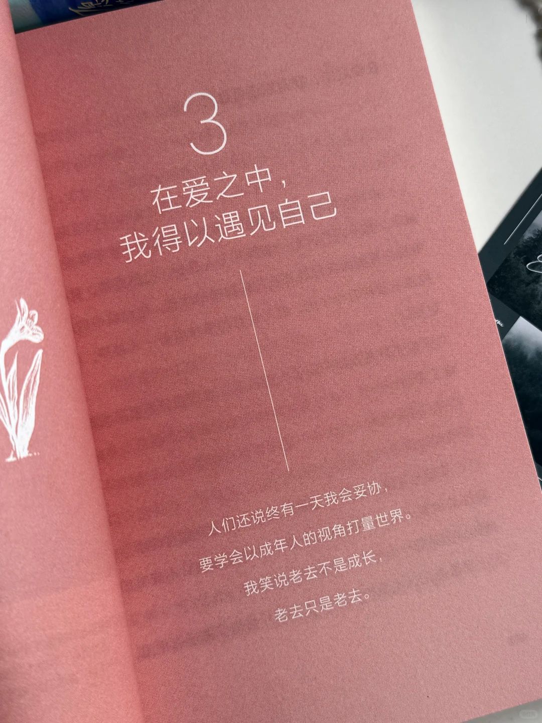 低谷期的救赎之书，读完与自己和解了✨