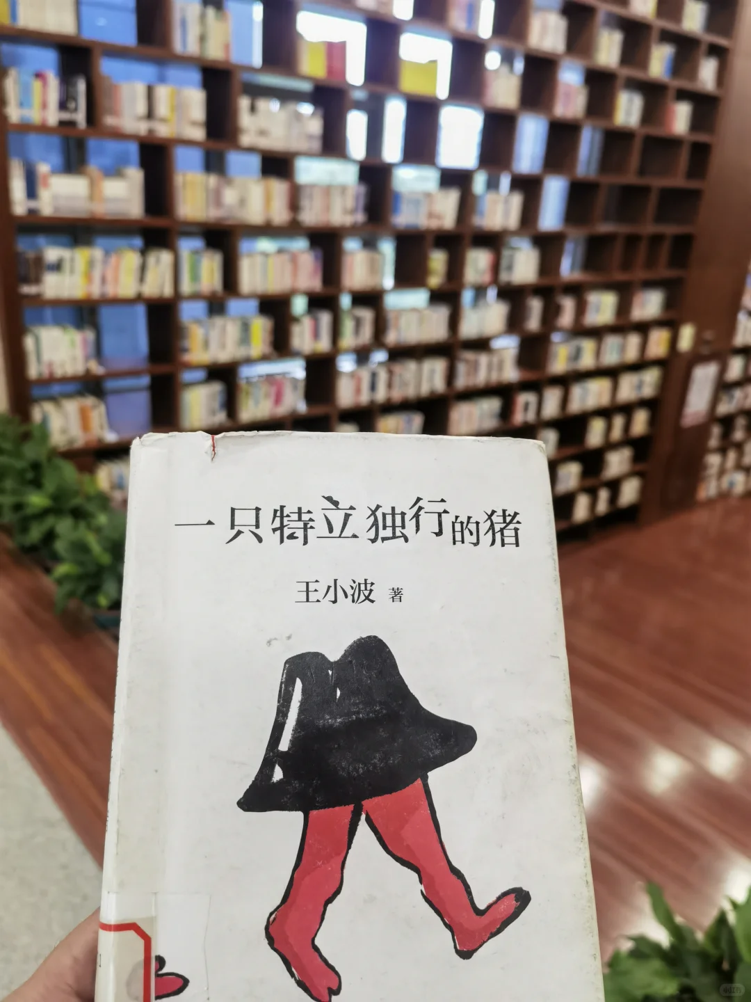 今日开心事，读书到闭馆。