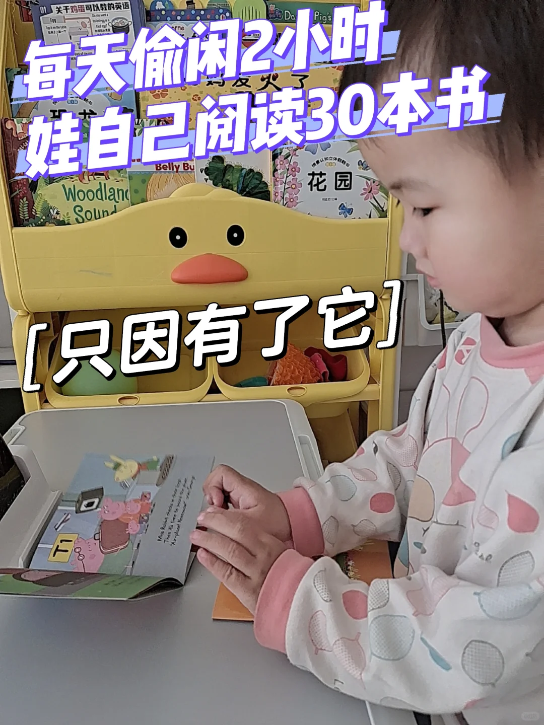 解放老母亲，3岁娃每天自己阅读30本书!电子