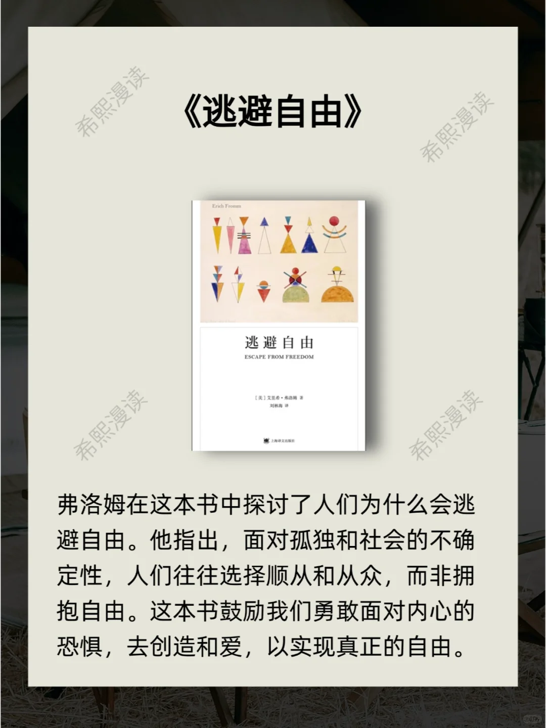 5本书，探索忙碌生活中的自由真谛！