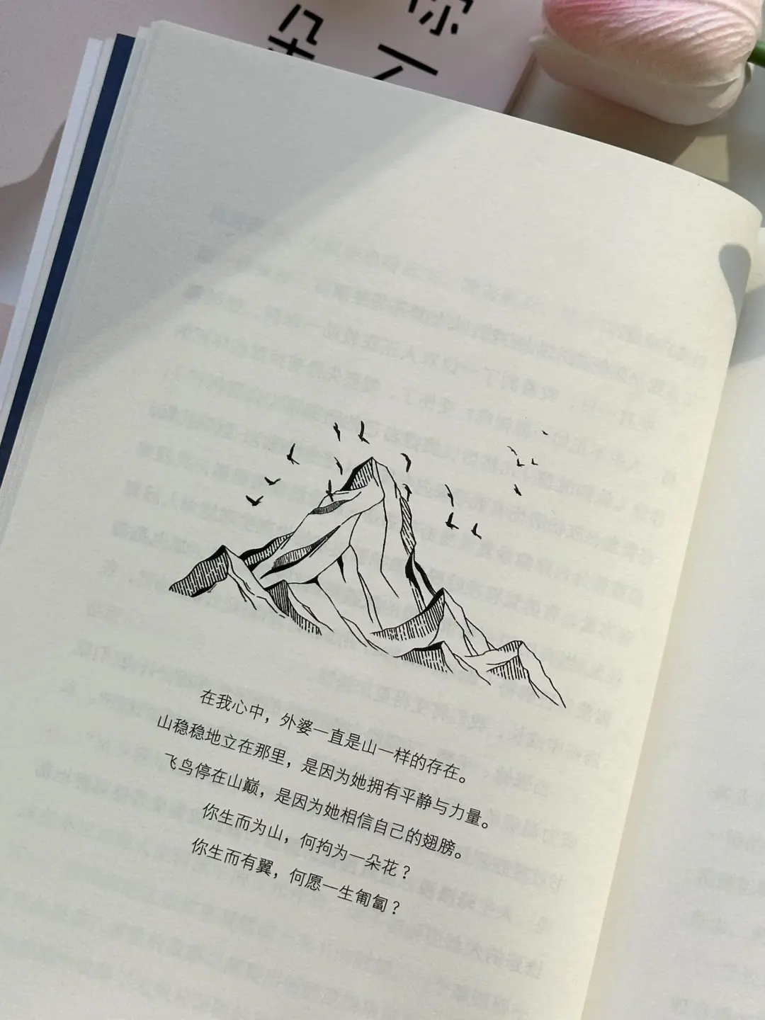 被狠狠治愈了🍃去成为你想成为的任何样子