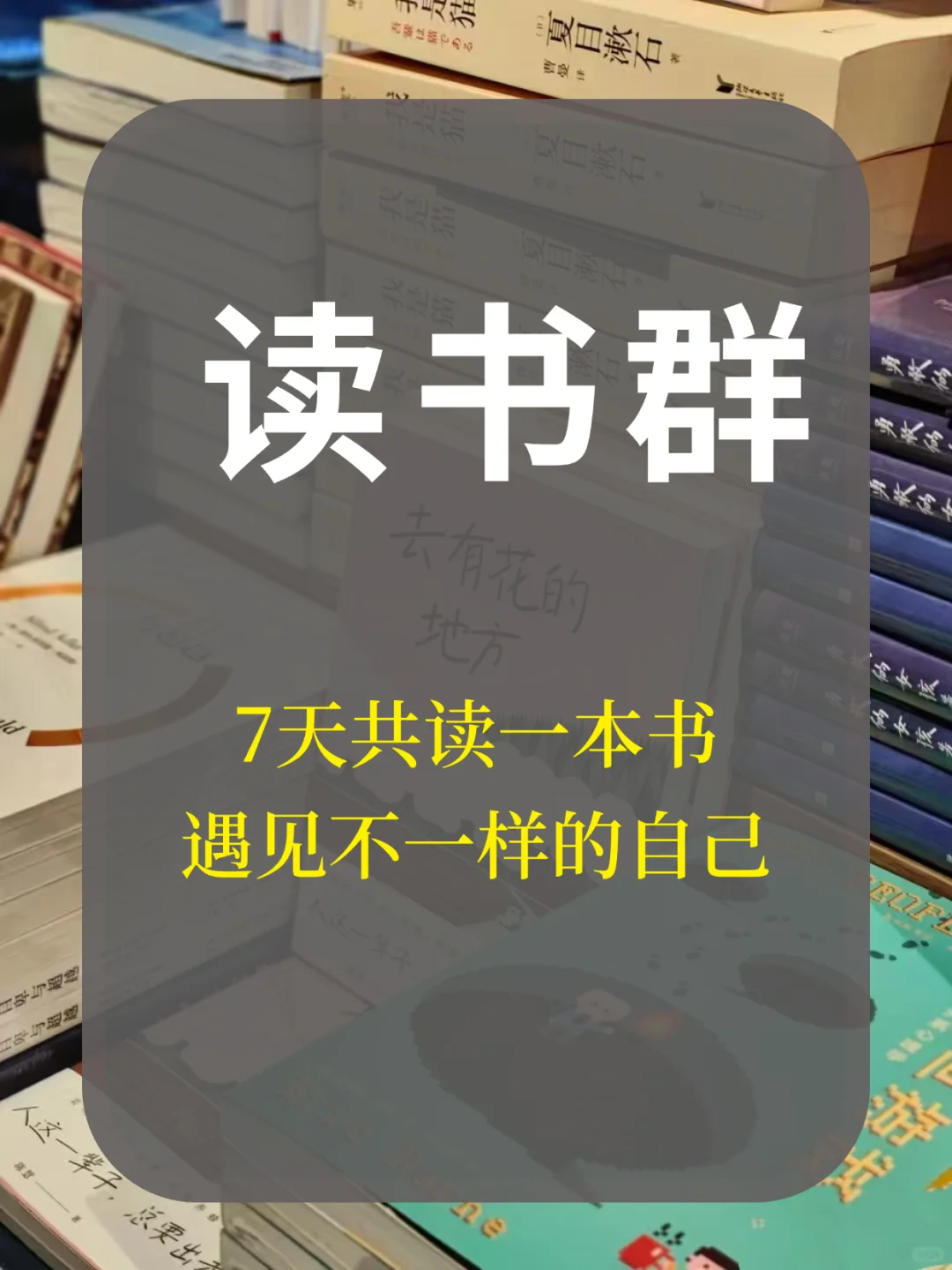 ⏰读书群 快来加入读书组织～互相监督学习