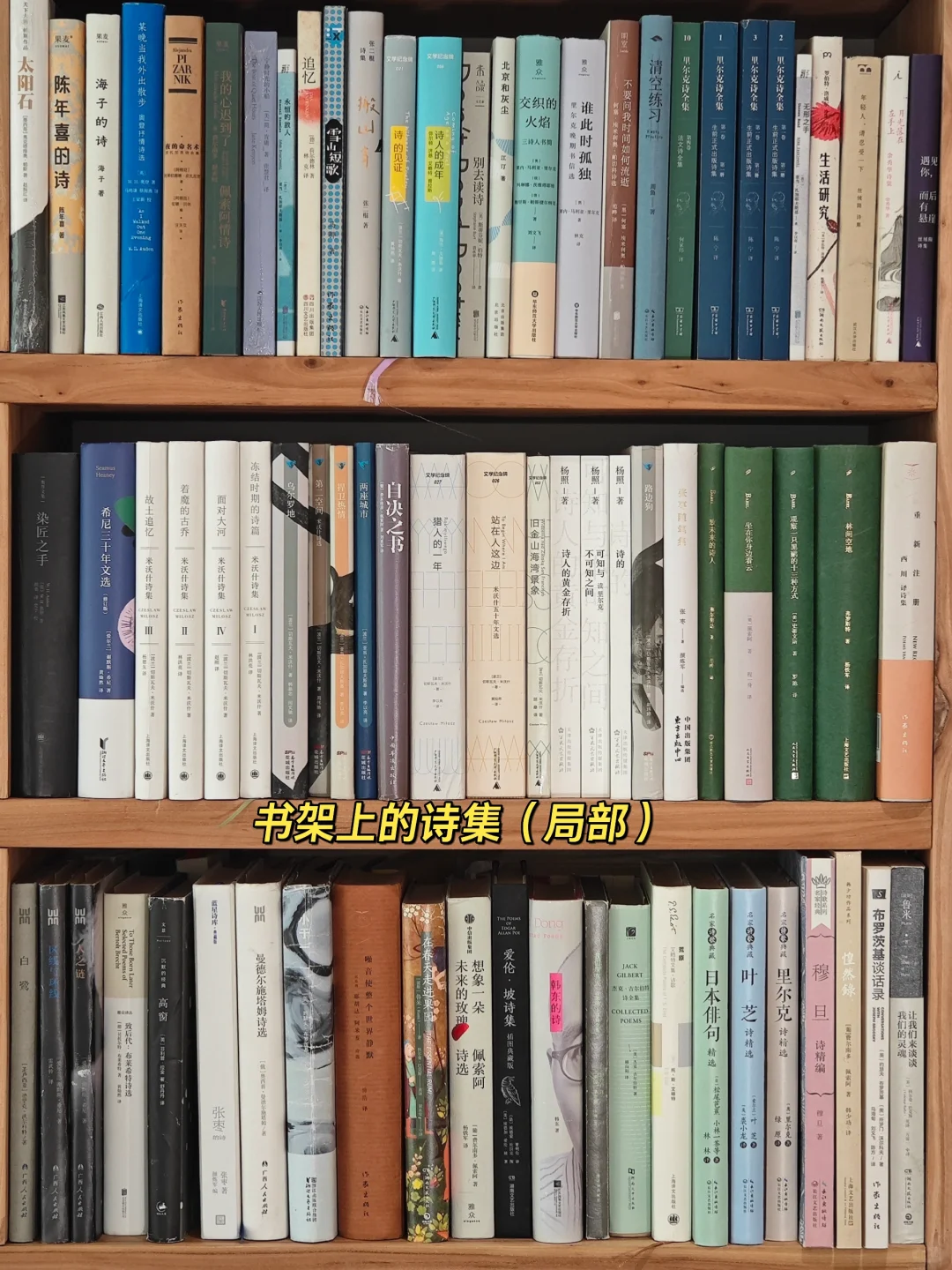 我用3000天，把家变成了图书馆