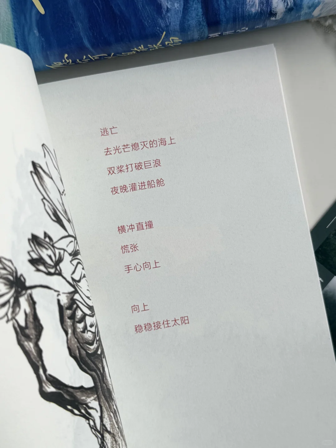 低谷期的救赎之书，读完与自己和解了✨