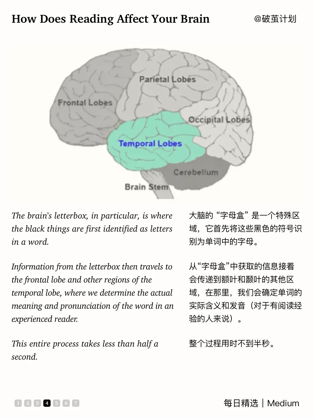 🔥每天30分钟，让你的大脑焕然一新！