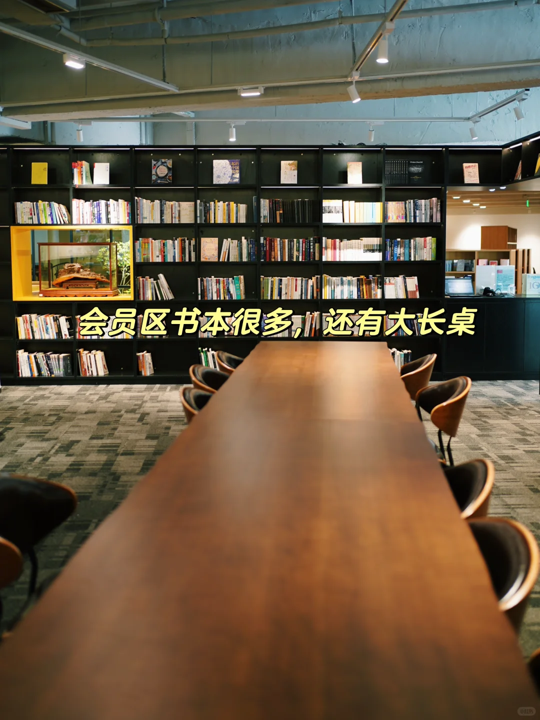 北京100个自习好去处|50.自由文本（奥体）