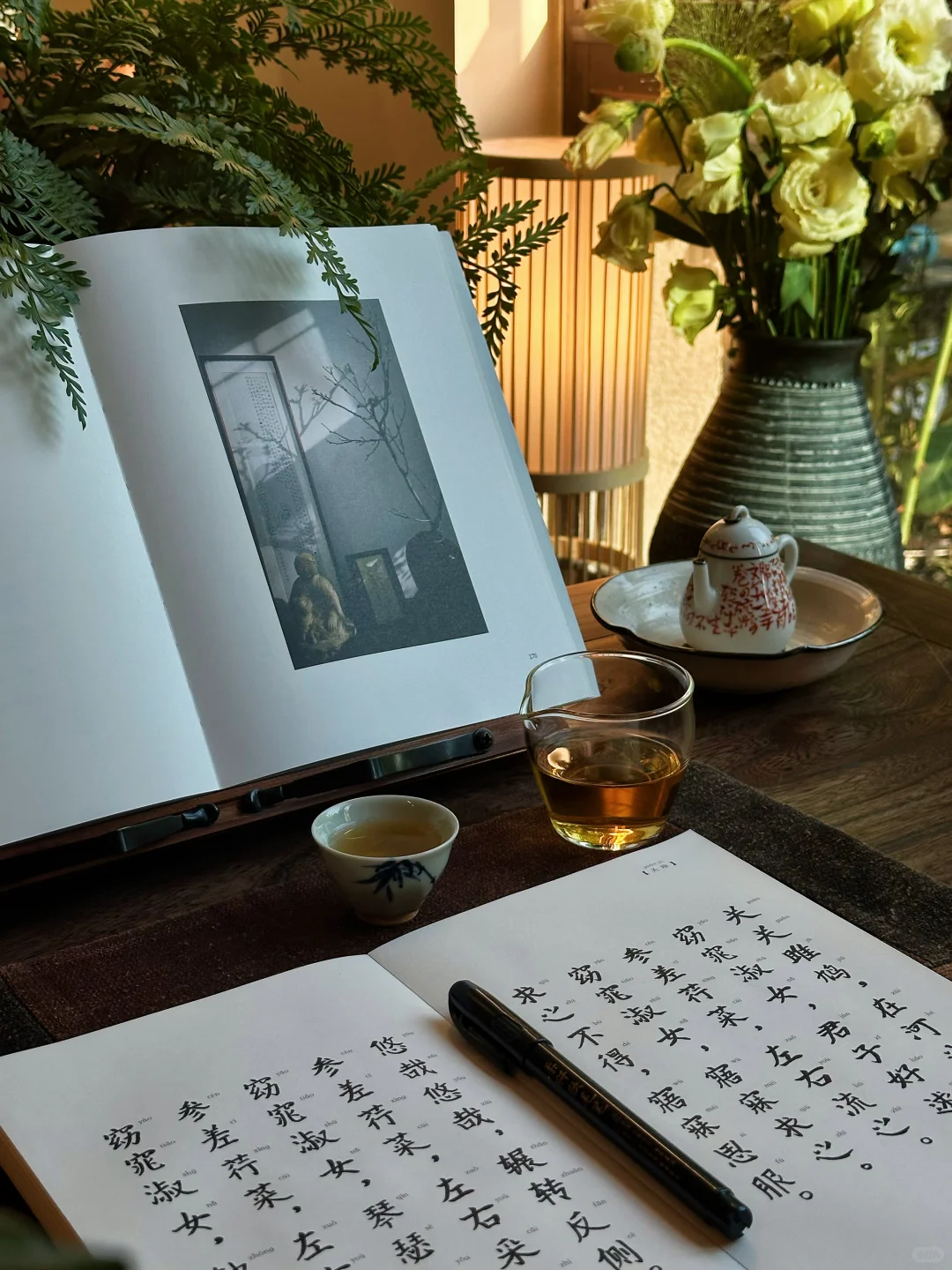 喝茶、读书｜让你平静的日子，就是好日子