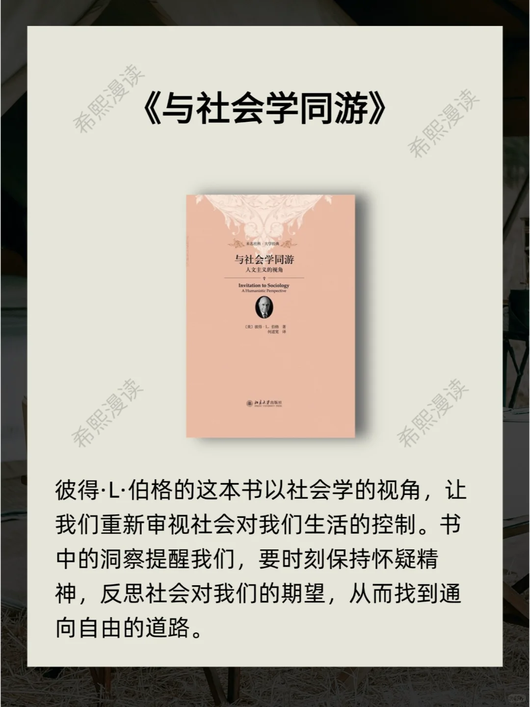 5本书，探索忙碌生活中的自由真谛！