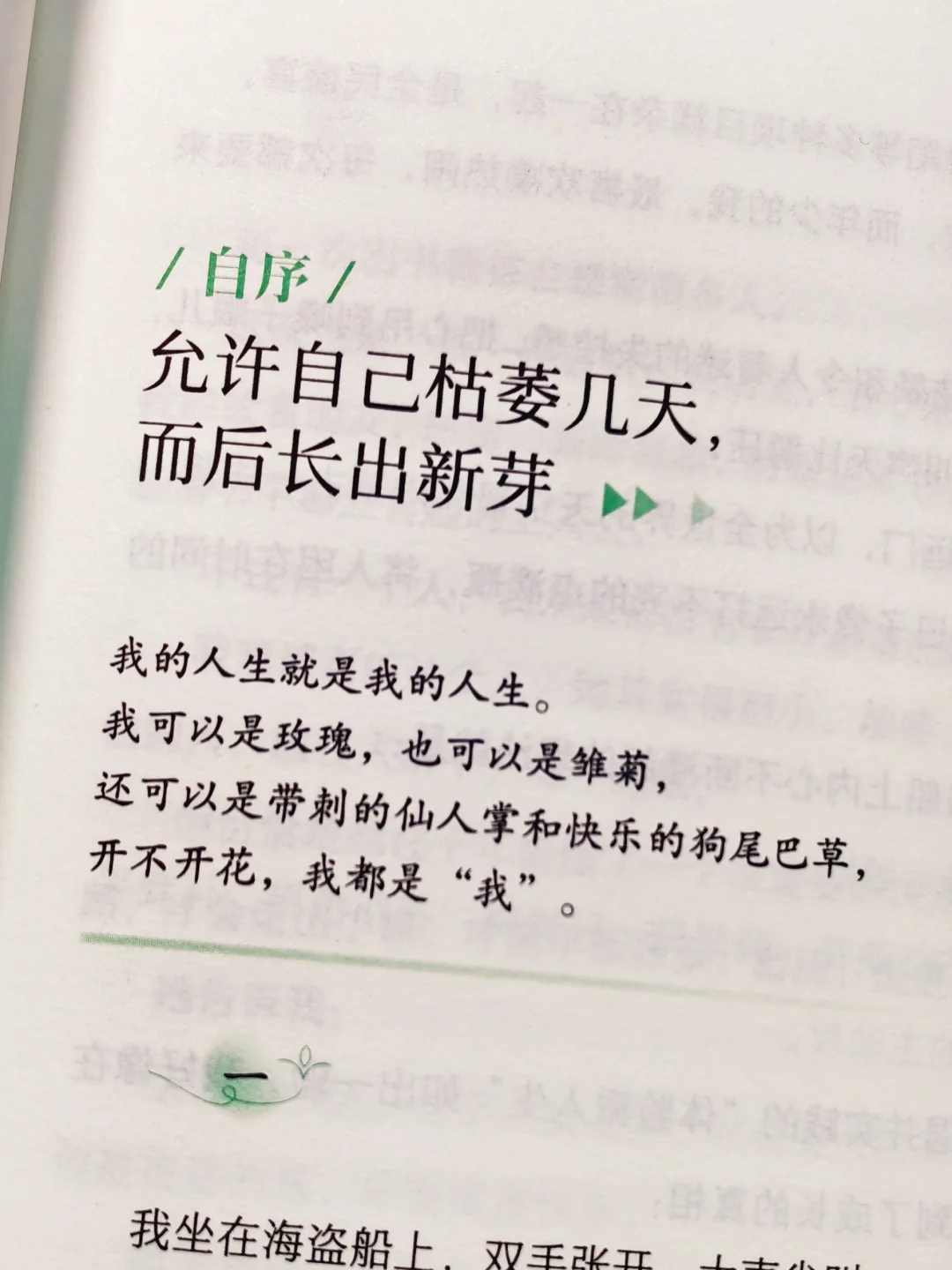 我宣布！这是我今年读过最治愈的书！