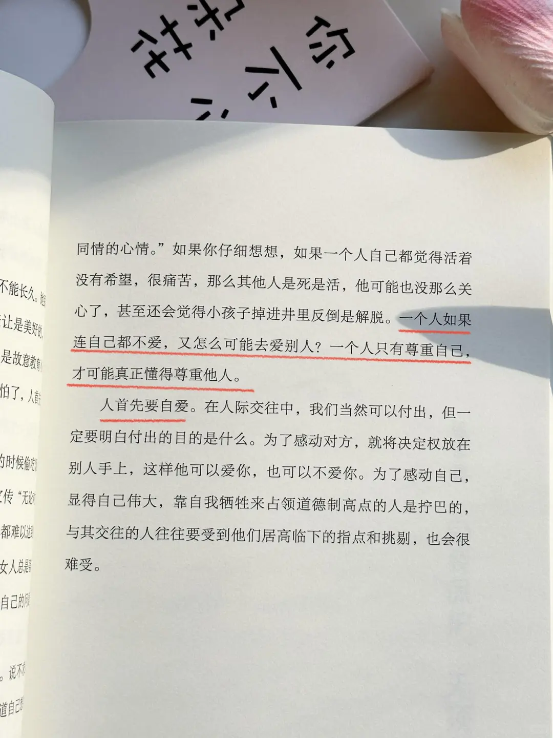 被狠狠治愈了🍃去成为你想成为的任何样子