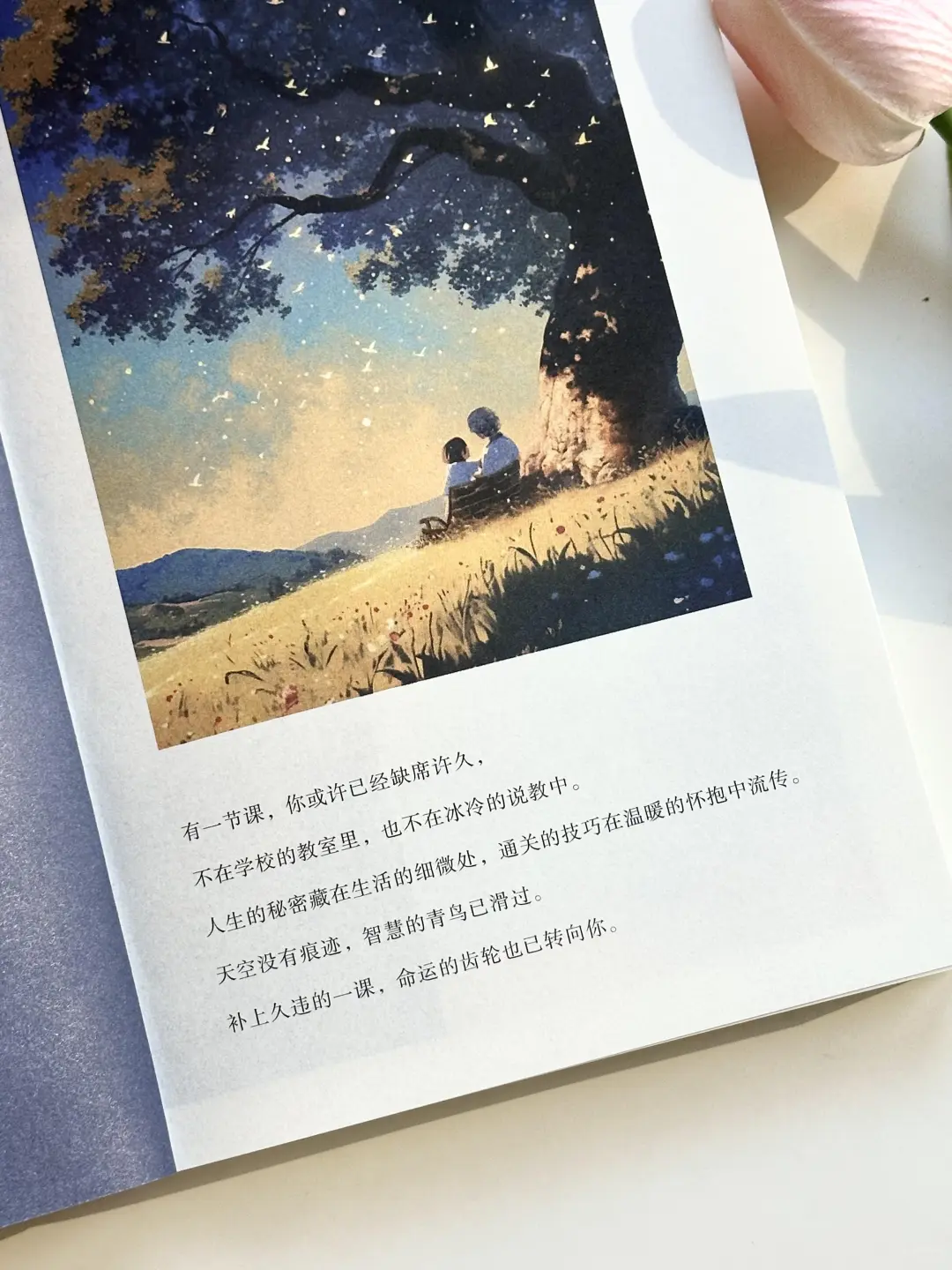 被狠狠治愈了🍃去成为你想成为的任何样子
