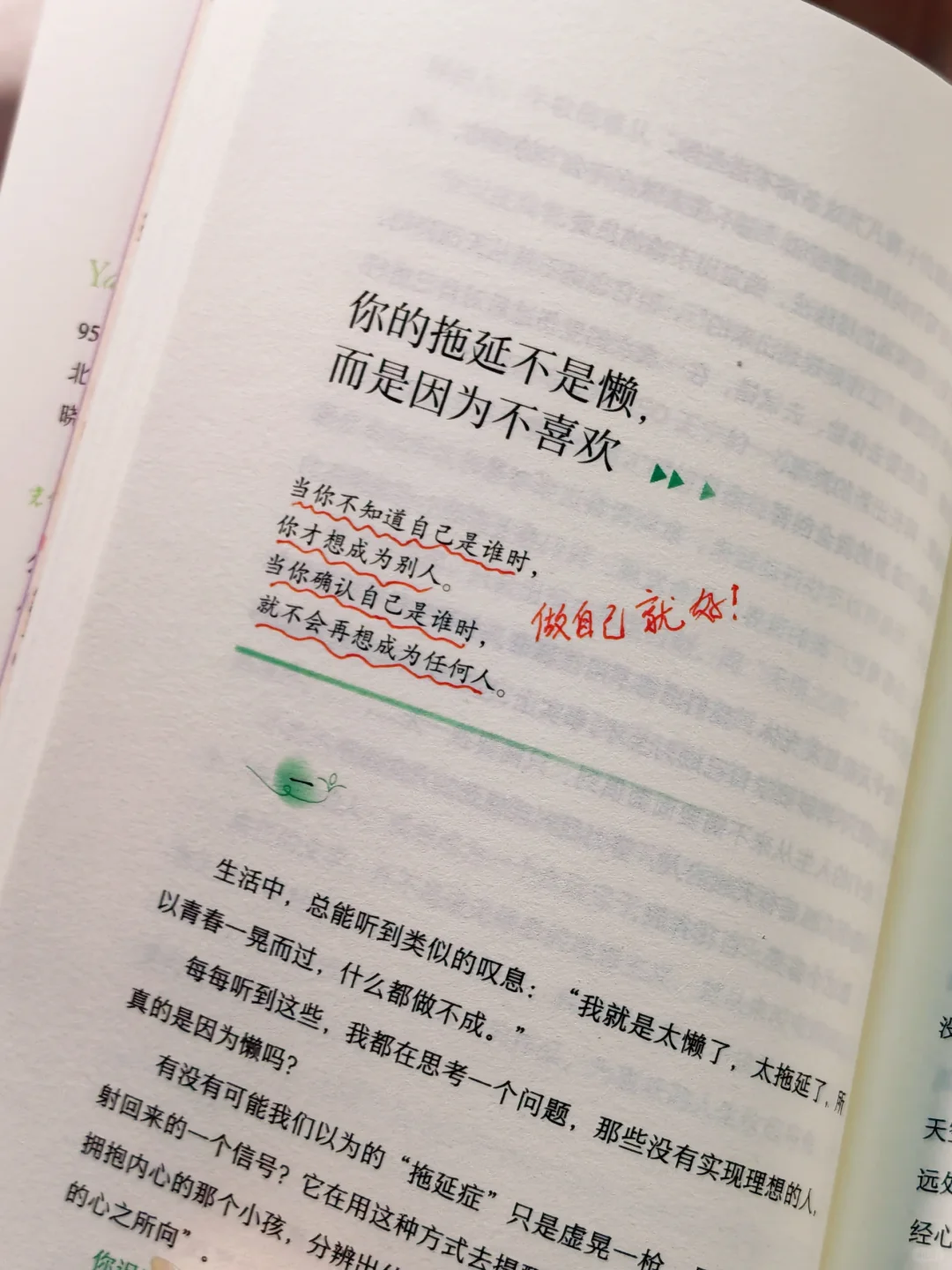 我宣布！这是我今年读过最治愈的书！