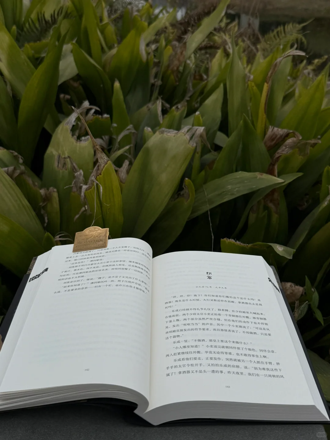 “无社交，不刷手机，在任何地方一直阅读。”