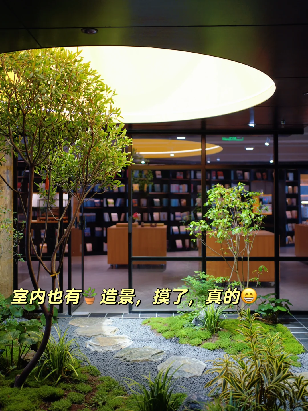 北京100个自习好去处|50.自由文本（奥体）