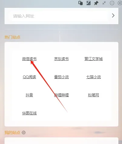 我的电脑比我还会装打工人