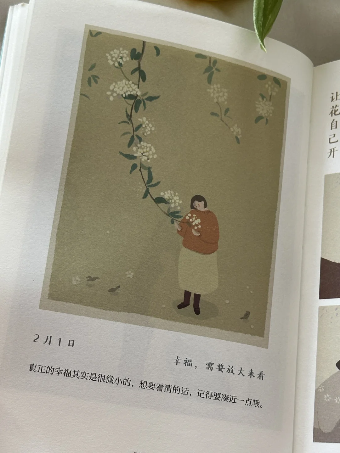 发现一本好温柔好治愈的小书啊！我太太爱了