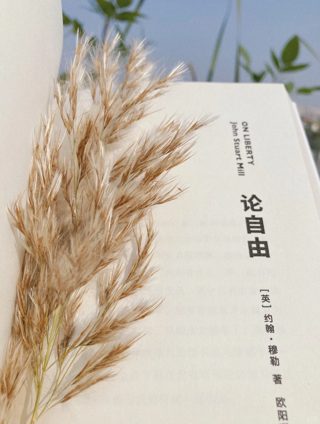 在一本书里找到自由呼吸权